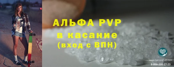 трава Осинники