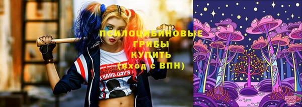 apvp Баксан