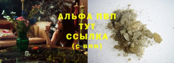 трава Осинники