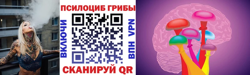 Галлюциногенные грибы Psilocybine cubensis  сколько стоит  Семилуки 